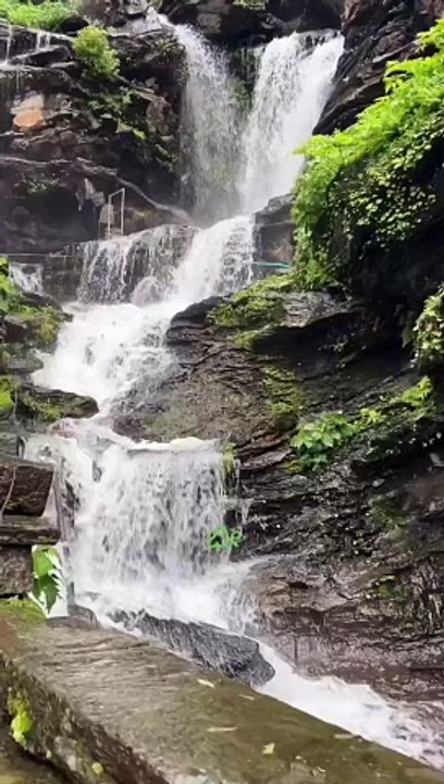 VID_20240724_142443_872