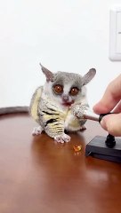 LIKE AND FOLLOW PLEASE