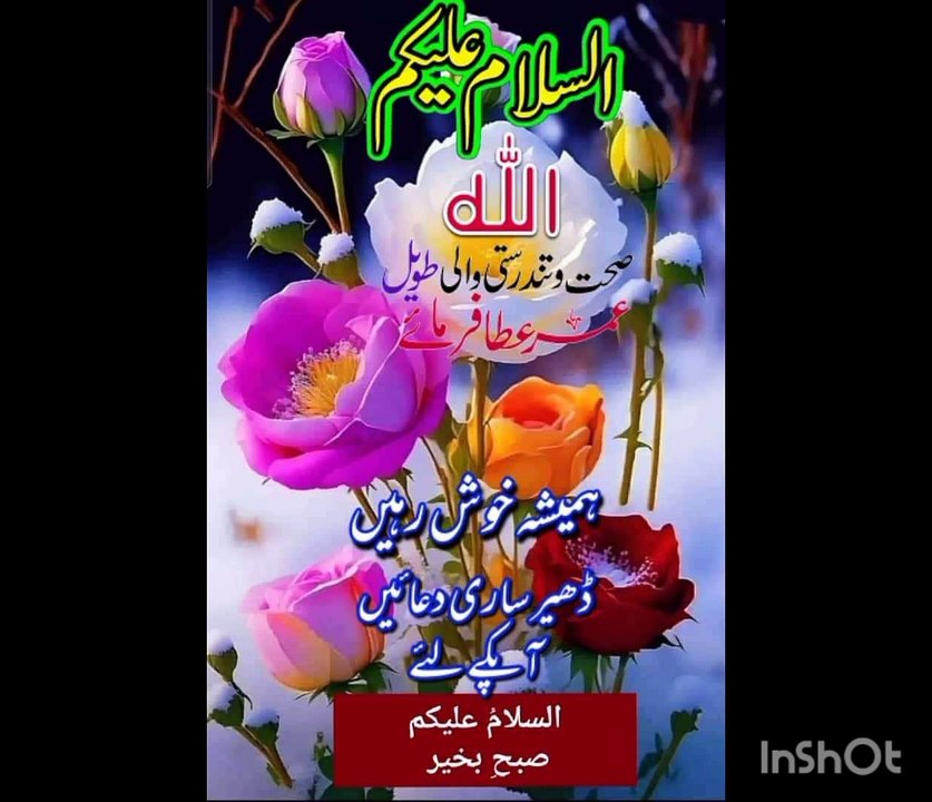 Beautiful tilawat