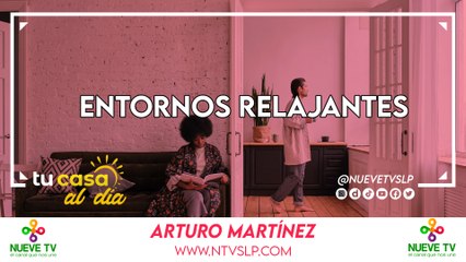 Transforma tu espacio en un oasis de tranquilidad ✨