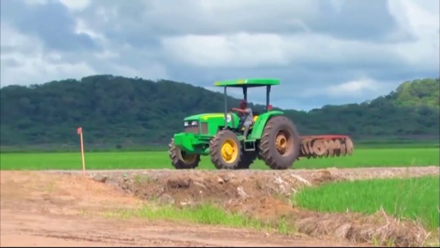 ext-publireportaje-tio-pelon-240724