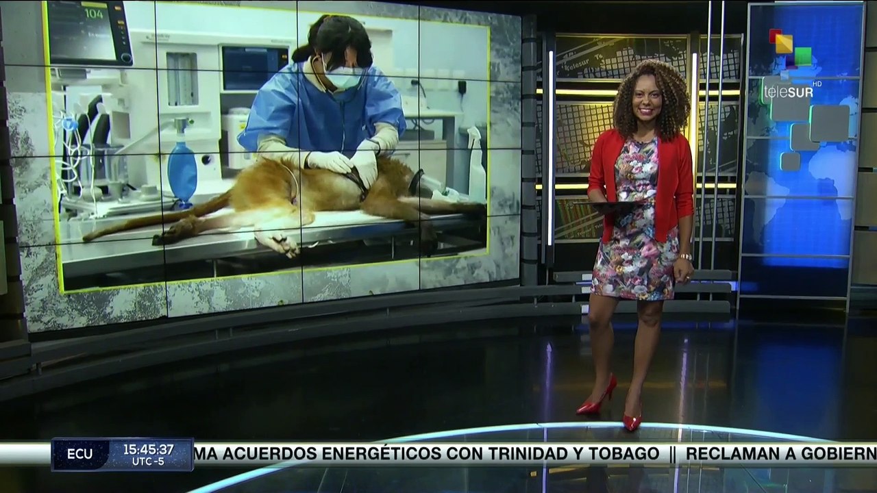 Temas del Día 07-24: Venezuela firma acuerdos de suministro eléctrico con Trinidad y Tobago