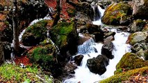 relaxation film sweet water sound with beautiful natural fountain