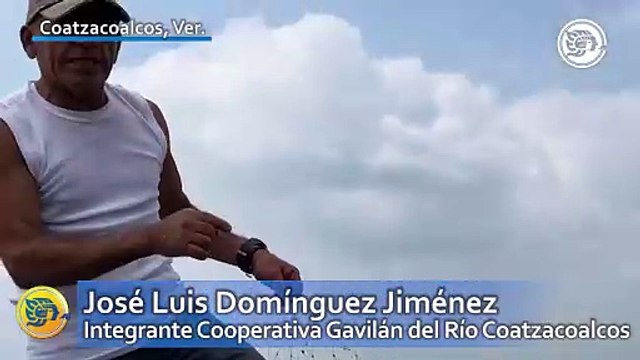 Pescadores furtivos no respetan veda de robalo en Coatzacoalcos ¡podrían quemar sus redes!