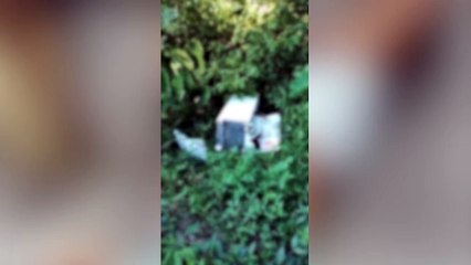 Corpo esquartejado é encontrado dentro de geladeira