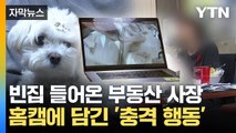 [자막뉴스] 꼬리 흔드는 강아지 향해...부동산 사장의 '충격 행동' / YTN