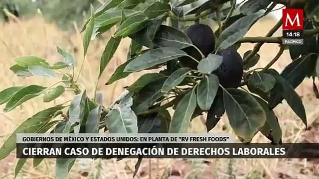 México y Estados Unidos concluyen el caso RV Fresh Foods de denegación de derechos laborales