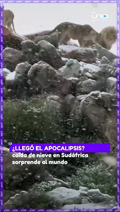 #Virales · Sudáfrica ha experimentado una nevada inusual que ha sorprendido a muchos. Este fenómeno ha sido atribuido al cambio climático, y ha generado un gran interés en las redes sociales. #RedUno #CambioClimátic