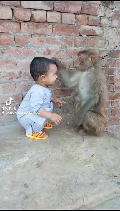 Monkey love baby