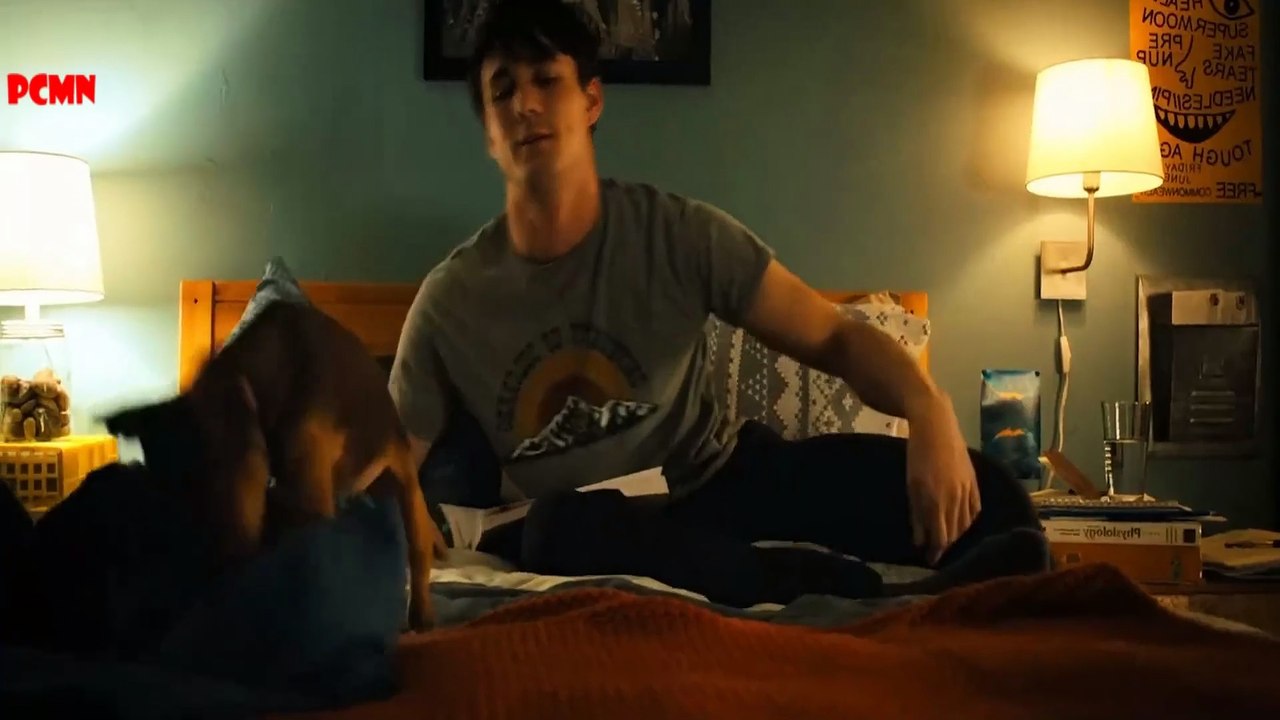 Chú chó trung thành với chủ vô điều kiện - Review phim cho trẻ em - PHIM CHO MỌI NHÀ