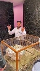 Namaz_har_chz_ka_hal_#trending_#islamic_#emotional_#inspiration_#shorts(720p)