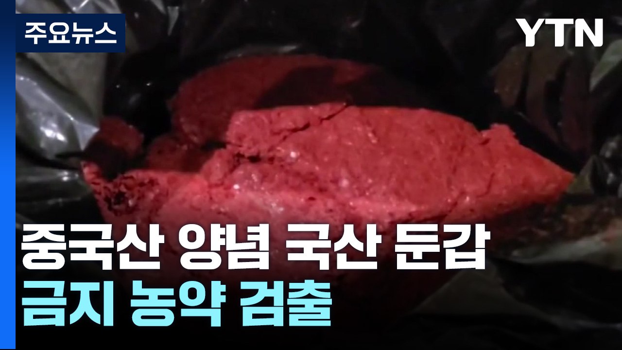 중국산 다진양념이 국산 고춧가루?...금지 농약 검출 / YTN