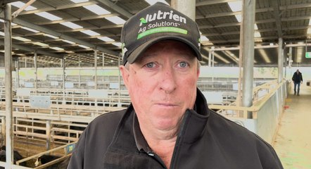 Brian McCormack, Nutrien Leongatha auctioneer | Stock & Land