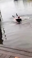 Funny_fails_#shortsfails_#shortvideo_#failsvideo(360p)