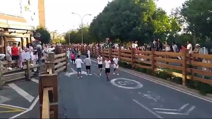 Cogida en el primer encierro de Tudela de 2024