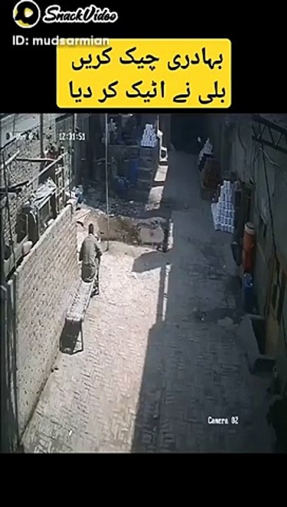 Funny video
