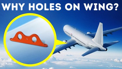 Hidden Details Everywhere You Didn't Notice Until Now