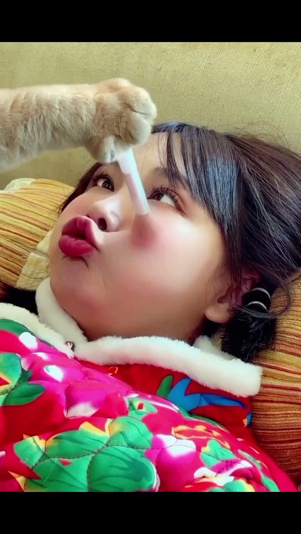 funny videos | Funny pets | funny animals