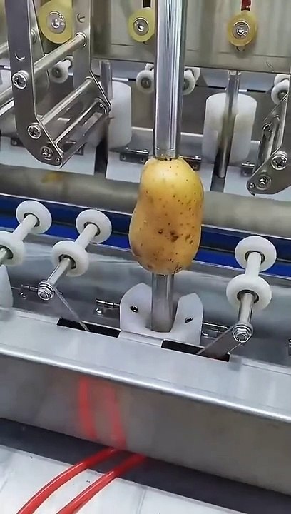 Potato_Process_#shorts(480p)