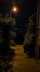 Johny Sins and Mia Khalifa Motivational Video