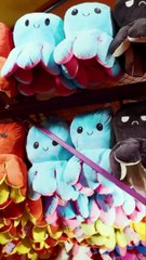 الاميرة هيفاء بنت محمد آل سعود نائب وزير السياحة تستمتع في جدة