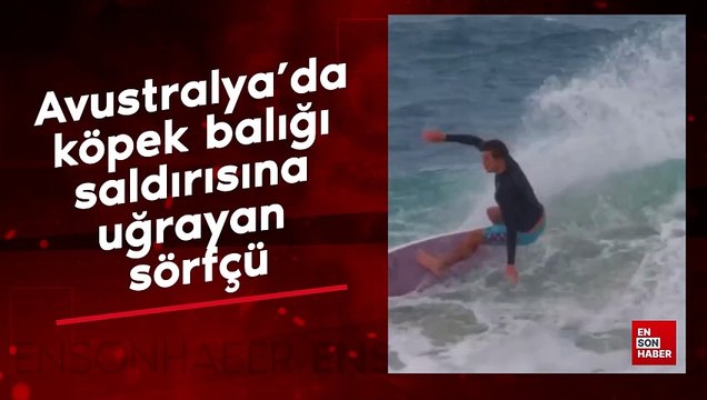 Avustralya'da köpek balığı saldırısına uğrayan sörfçü