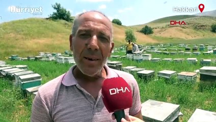 Bodrumlu arıcı, 39 yıldır kovanlarını Yüksekova'ya getiriyor