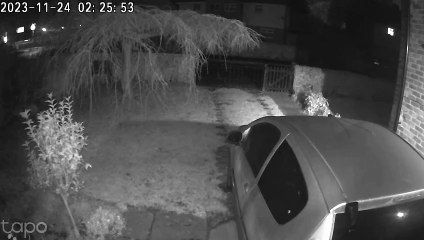 Levi Kent murder - Chatfield Road Doorbell footage from trial