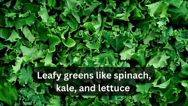 10 foods to eat on a low carb diet