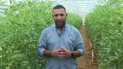 البطالة تضرب 200 ألف عامل في غزة.. كيف غيرت "7 أكتوبر" حياة الفلسطينيين؟