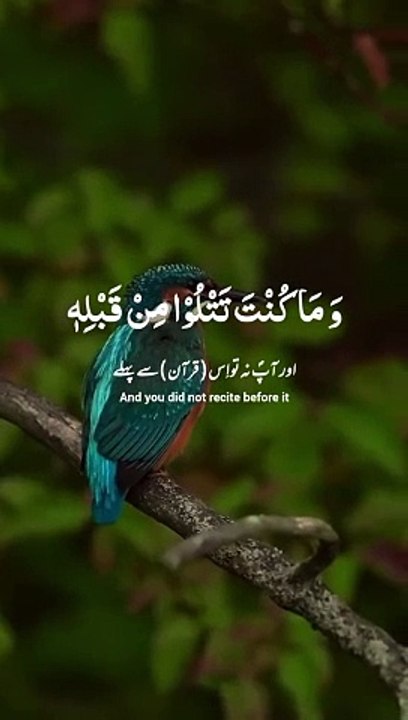 Al Quran