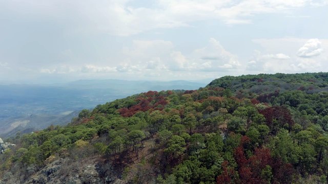 drone flights above the mountains in the forest