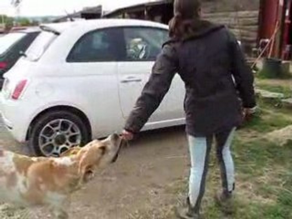 Cuba et Claire