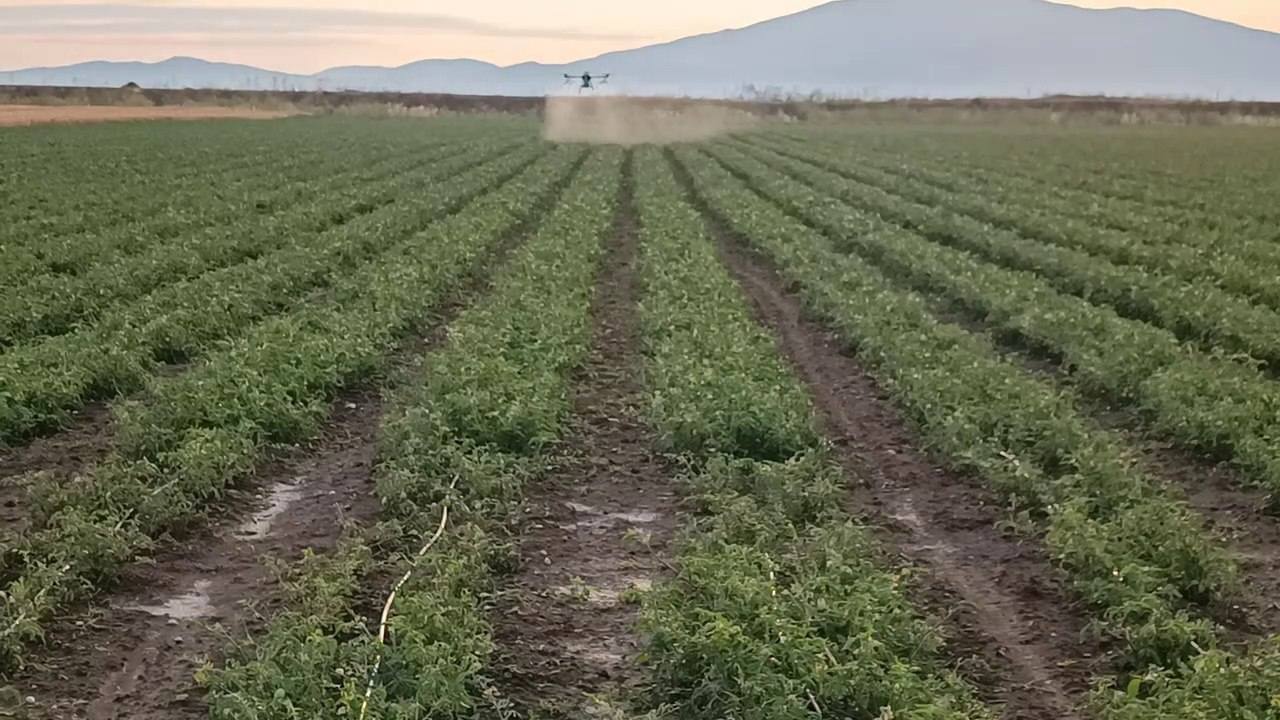 EFT GX Agriculture Drone Spraying for Potato