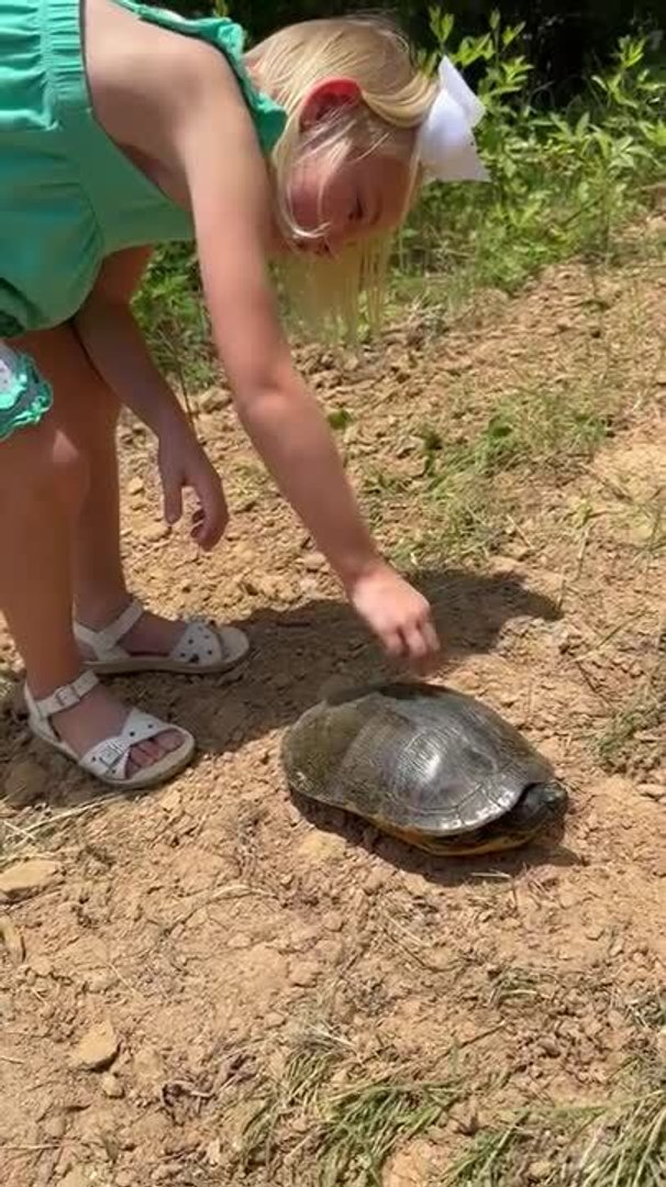 ⁣Toddler Pets Turtle