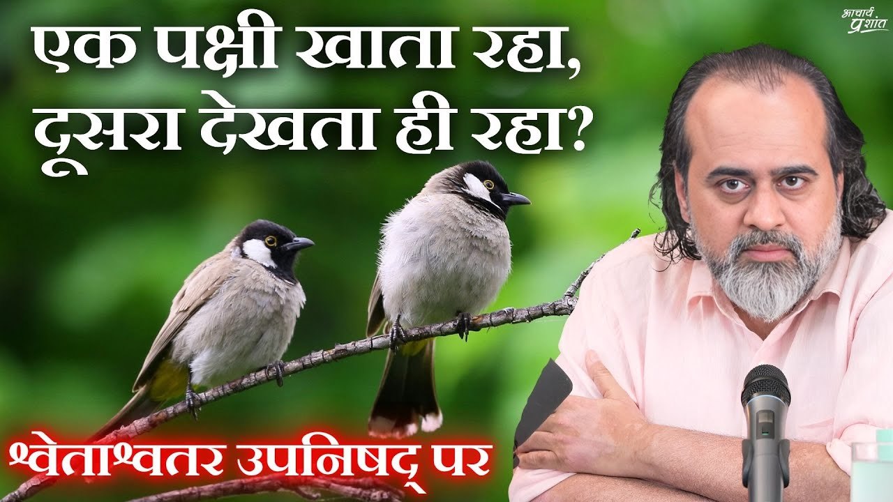 एक पक्षी खाता रहा, दूसरा देखता ही रहा   आचार्य...