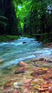 Green green grass #beautiful #beauty #green #garden# naturalbeauty933