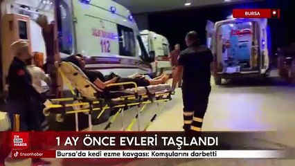 Bursa'da kedi ezme kavgası: Komşularını darbetti