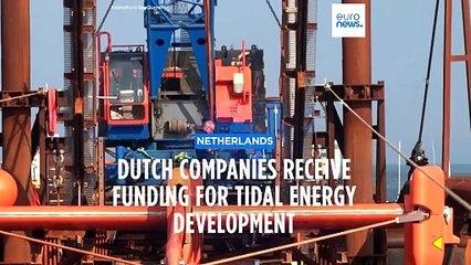 Dutch companies receive investment to develop tidal energy in Wadden Sea region