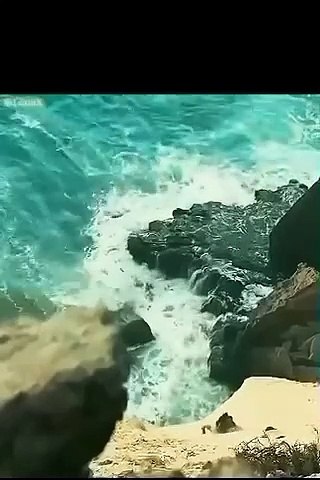 Movie Clip