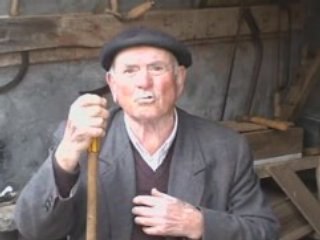 Os consellos de Modesto