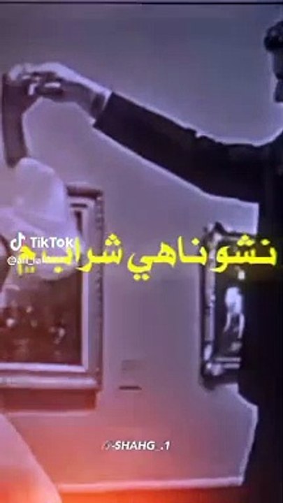 videos for cats to watch,videos for cats,video for cats,cat videos,cats,funny videos,funny cat videos,funny cats,tv for cats,relaxing videos for cats,videos for cats to watch mice,videos for cats to watch birds,cat tv for cats to watch,funny animal videos