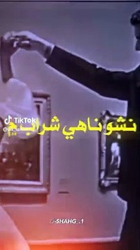 videos for cats to watch,videos for cats,video for cats,cat videos,cats,funny videos,funny cat videos,funny cats,tv for cats,relaxing videos for cats,videos for cats to watch mice,videos for cats to watch birds,cat tv for cats to watch,funny animal videos