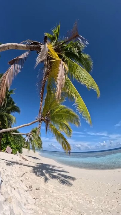 LES PLUS PARADISIAQUES plages des Maldives