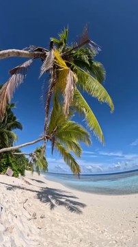 LES PLUS PARADISIAQUES plages des Maldives