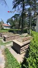 Apka Favourite Karadar in ma se kon ___aliraish4 _pakturk _cappadocia _kurlusosman(MP4)