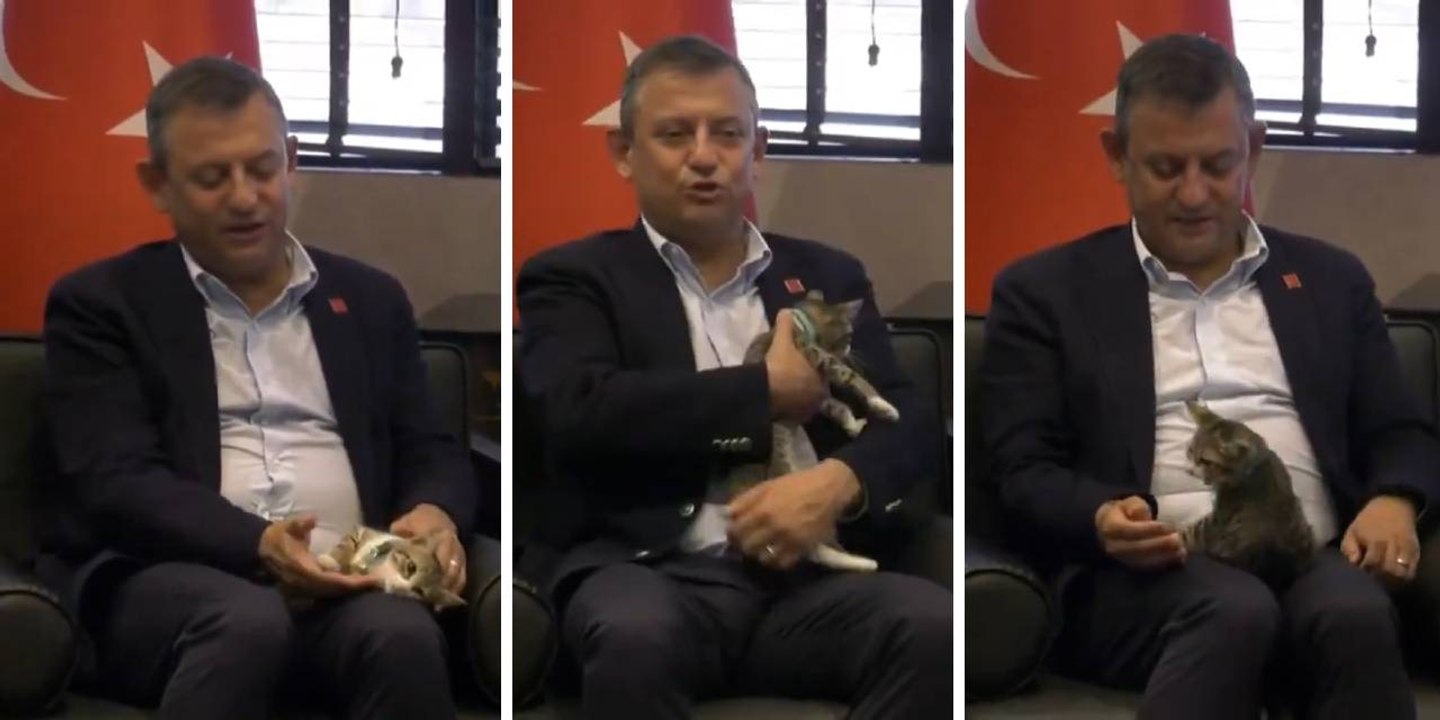 Özgür Özel, 'Patican' kediyi sevdi: Kimden kuru mama, kimden köfte gelecek anlıyor