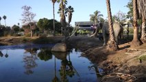 La Brea Tar Pits Expedition, Los Angeles