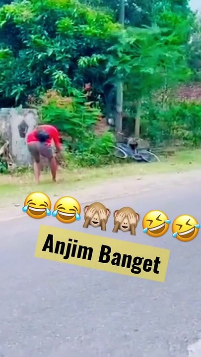 video lucu