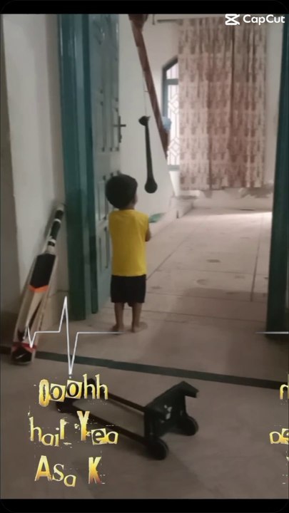 Cricket lover